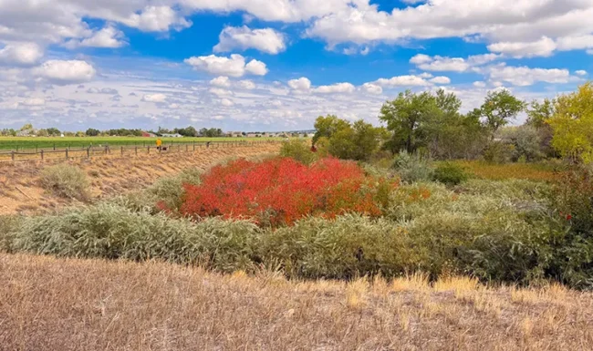 Fall colors and wetland habitat near Coot Lake