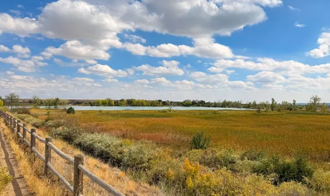 Coot Lake shoreline and open space with wooden fence