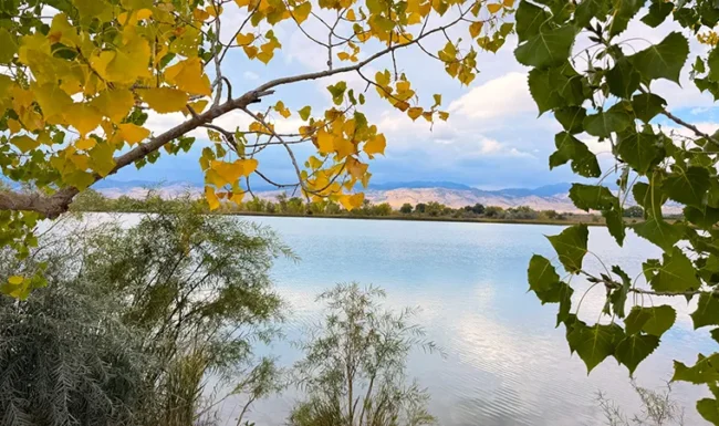 Fall leaves framing a view across Coot Lake