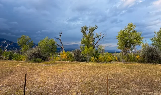 Cottonwoods and Front Range foothills near Eldorado Canyon