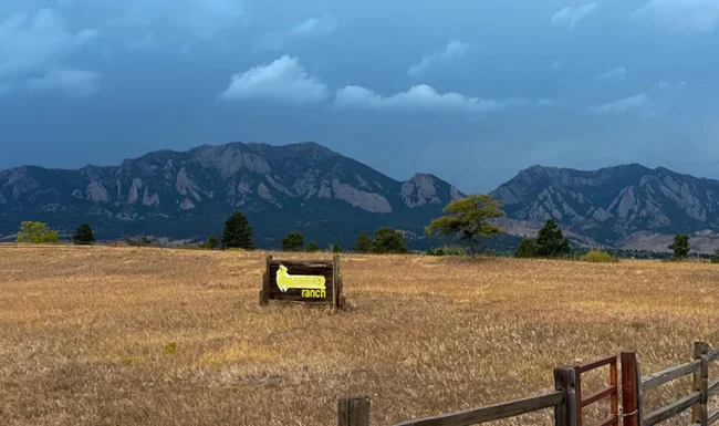 Open Wildflower ranch field with views of the Eldorado Canyon foothills