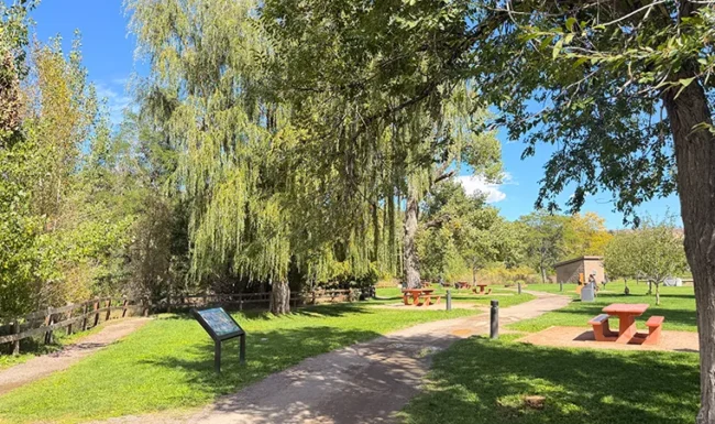 Willow trees and picnic area in the open space at Bohn Park in Lyons, Colorado