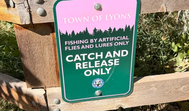 Catch-and-release fishing sign for St. Vrain Creek at Bohn Park in Lyons