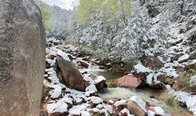 Snowy creek and boulders beneath Eldorado Canyon cliffs