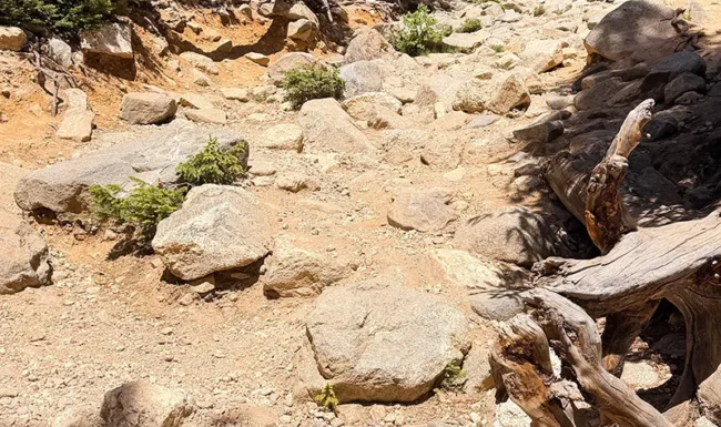 Rocky terrain along the St. Mary’s Glacier Trail.
