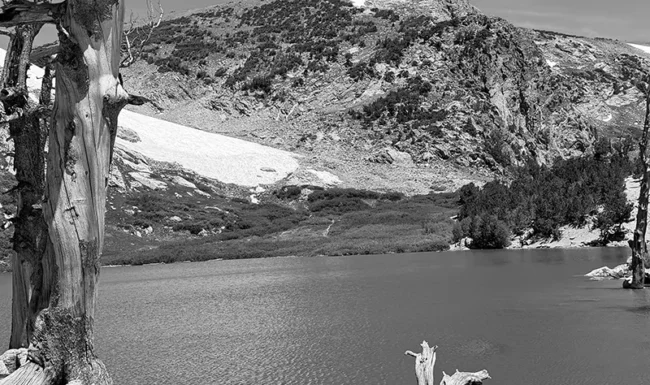 Saint Mary's Glacier lake & mountain view framed by a striking weathered tree.