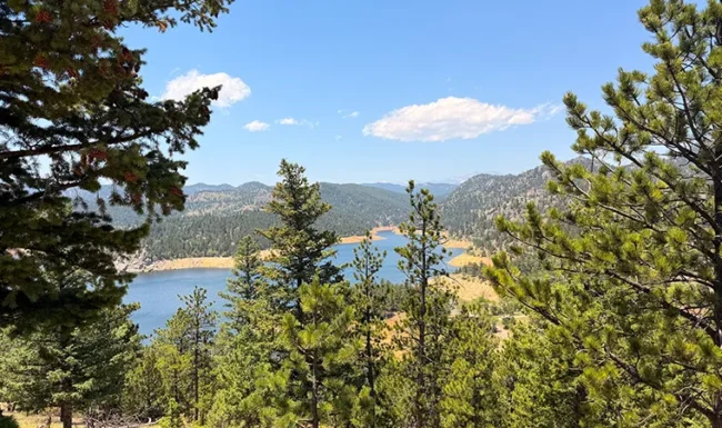 Gross Reservoir and its winding shoreline viewed through pine trees