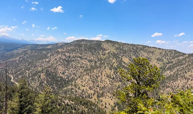 Rocky mountain ridge dotted with pines and distant snowcapped peaks viewed from Sunshine Canyon Drive near Gold Hill, Colorado.