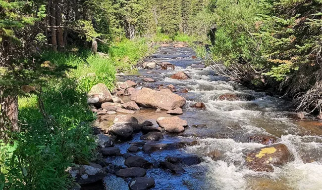 South St. Vrain Creek rushing over rocks through dense evergreen forest