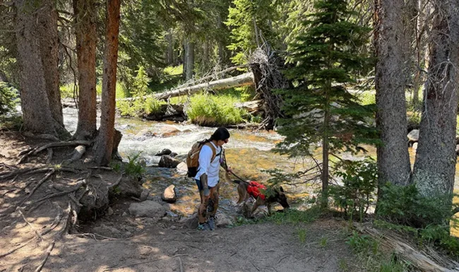 Hiker and leashed dog crossing South St. Vrain Creek along Waldrop Trail