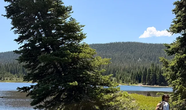 Hiker at South St. Vrain Creek Outlet at Brainard Lake