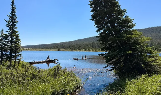 South St. Vrain Creek Outlet at Brainard Lake