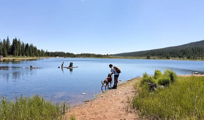 A hiker and leashed dog pause along the peaceful shoreline of Brainard Lake.