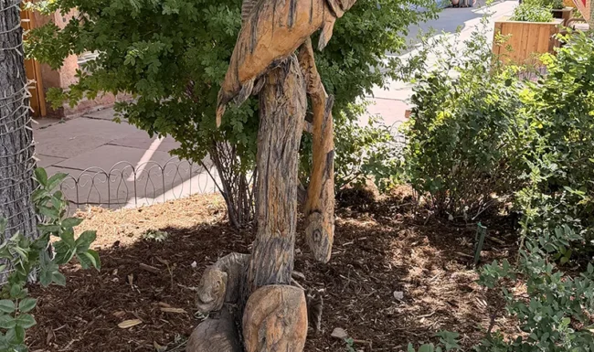 Carved wooden fish sculpture along a landscaped walkway in downtown Lyons