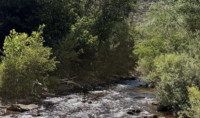 Scenic North St. Vrain Creek beneath sandstone cliffs at LaVern M. Johnson Park