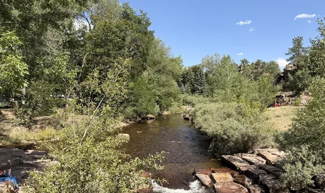 Calm section of North St. Vrain Creek surrounded by trees at LaVern M. Johnson Park