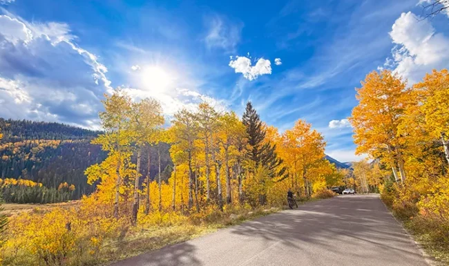 Fall colors and aspens lining Fall River Road near Rocky Mountain National Park
