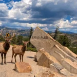 Bull and cow elk stand beside the Estes Park sign with Rocky Mountain views and dramatic Colorado clouds.